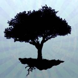 We're All Just Passing Through